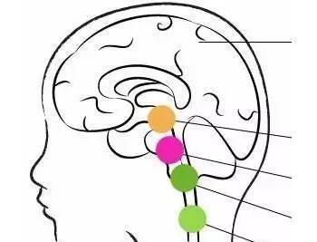 经颅磁家用型_智力低下的原因有哪些